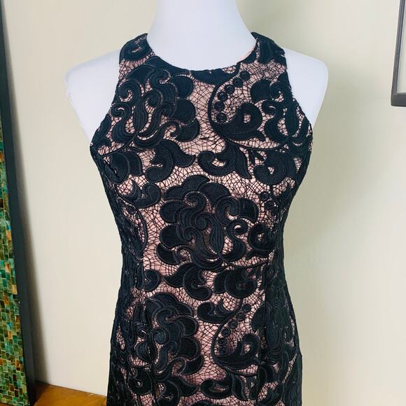 Eliza J Petite Size 4P Lace Sheath Dress Pink Black Racerback Formal Party - Picture 4 of 12